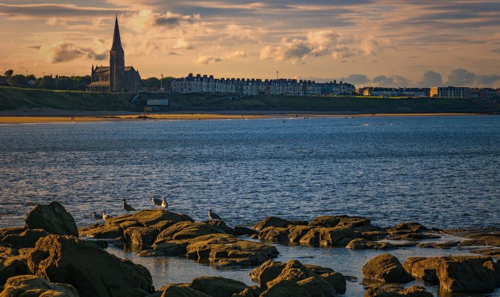 Peaceful seaside scene with birds, rocks, and distant architecture at sunset.